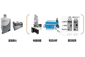 服務(wù)項(xiàng)目